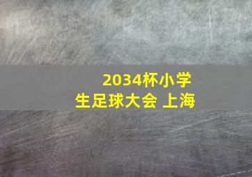 2034杯小学生足球大会 上海